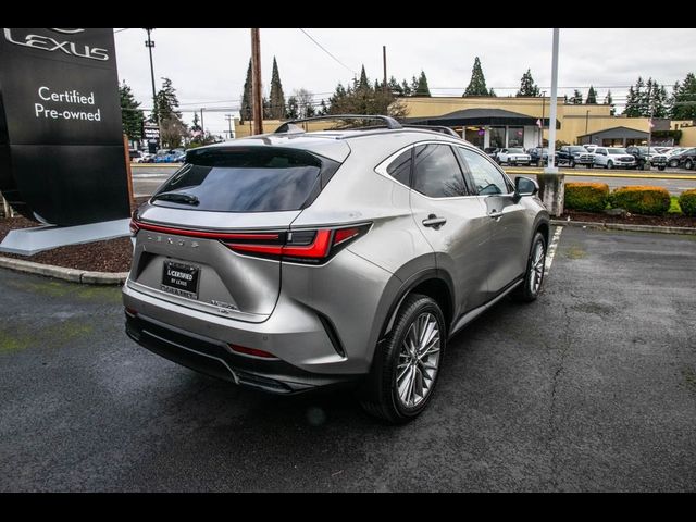 2024 Lexus NX 350h Luxury