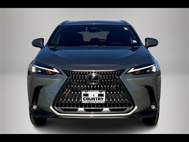 2024 Lexus NX 350h Premium