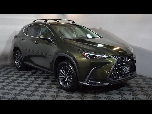 2024 Lexus NX 350h Premium