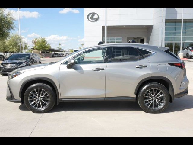 2024 Lexus NX 350h Premium