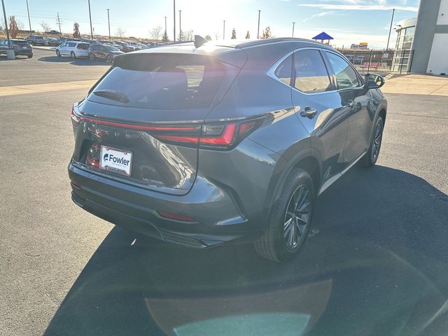 2024 Lexus NX 350h Premium