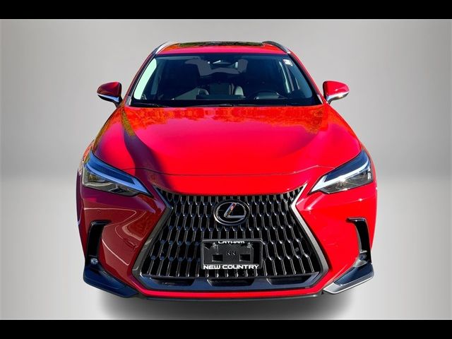 2024 Lexus NX 350h Premium