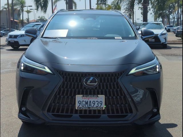 2024 Lexus NX 350h Premium