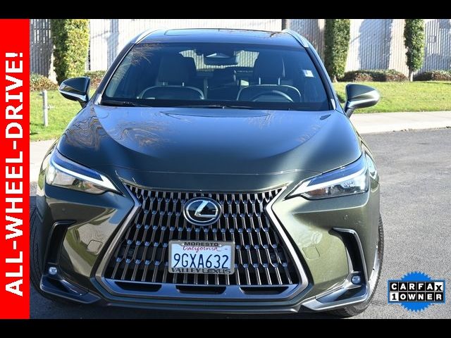 2024 Lexus NX 350h Premium