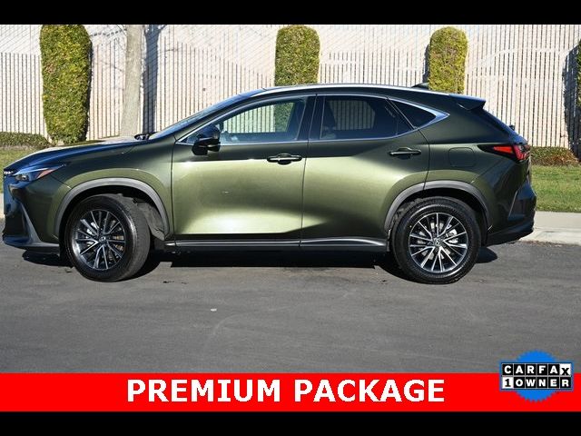 2024 Lexus NX 350h Premium