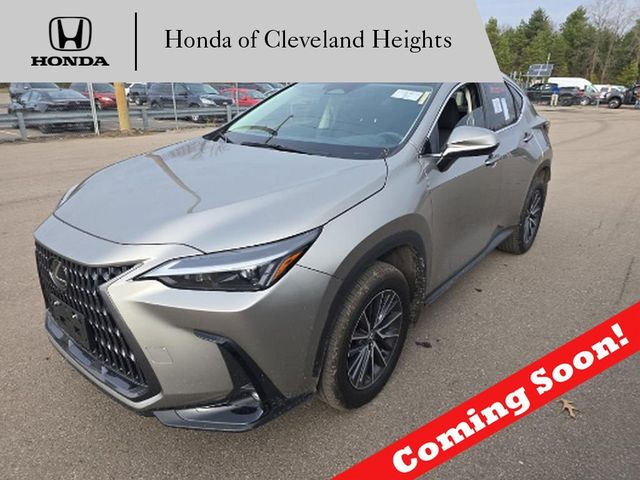 2024 Lexus NX 350h Premium