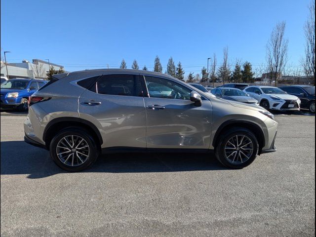 2024 Lexus NX 350h Premium