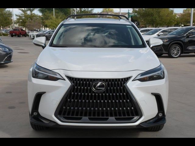 2024 Lexus NX 350h Premium