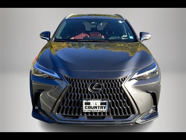 2024 Lexus NX 350h Premium