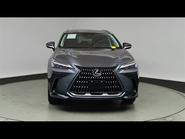 2024 Lexus NX 350h Premium