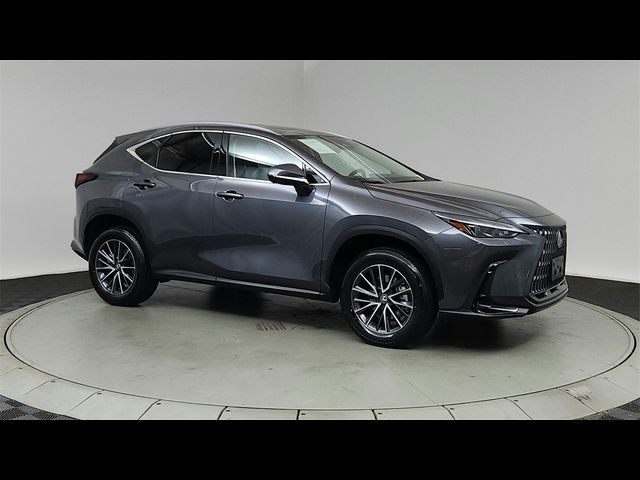 2024 Lexus NX 350h Premium