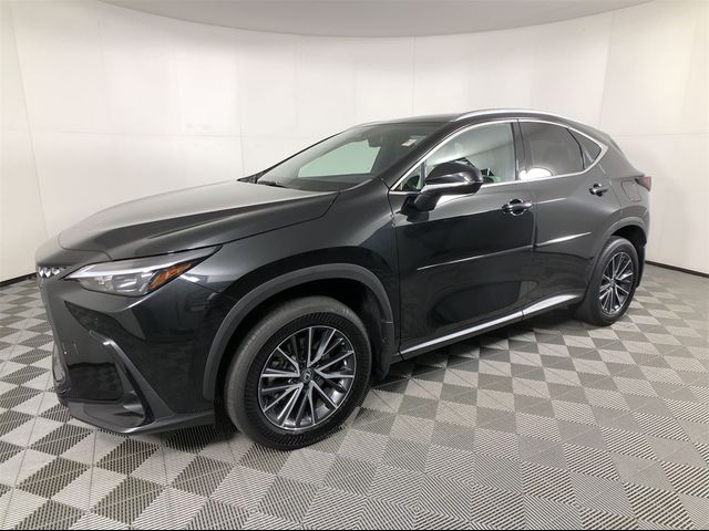 2024 Lexus NX 350h Premium