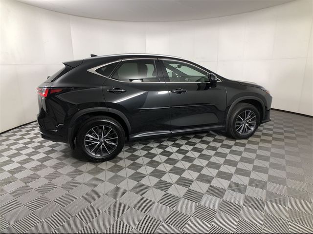 2024 Lexus NX 350h Premium