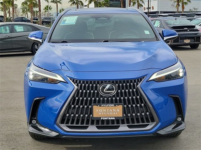 2024 Lexus NX 350h Premium