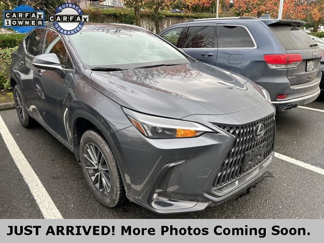 2024 Lexus NX 350h Premium