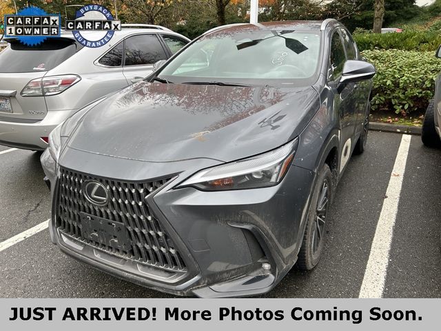 2024 Lexus NX 350h Premium