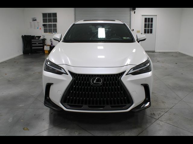 2024 Lexus NX 350h Premium