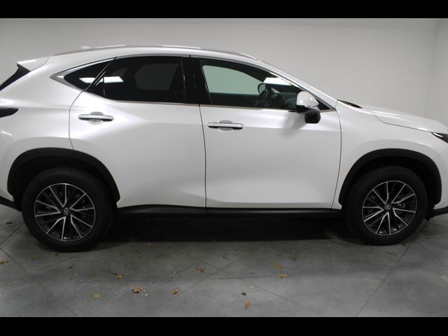 2024 Lexus NX 350h Premium