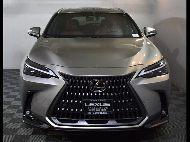 2024 Lexus NX 350h Premium