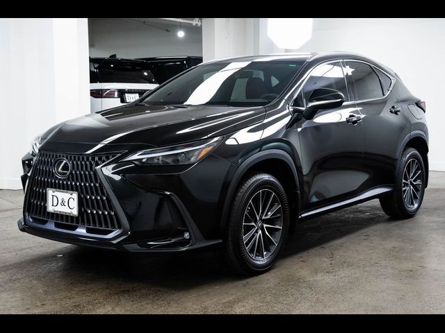 2024 Lexus NX 350h Premium