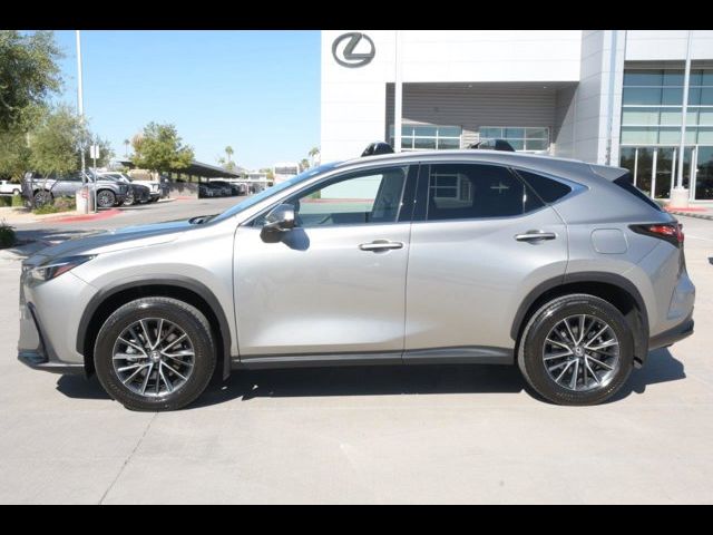 2024 Lexus NX 350h Premium