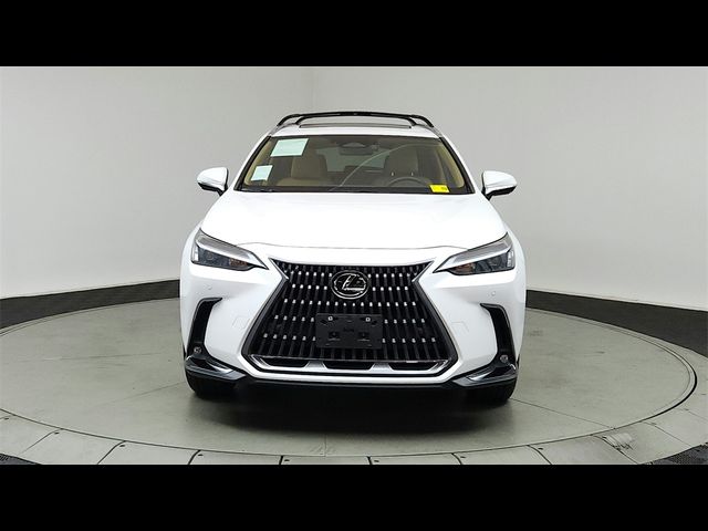 2024 Lexus NX 350h Premium