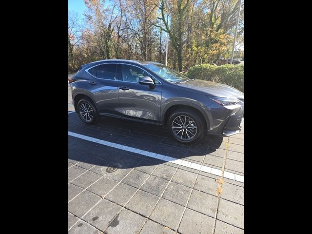 2024 Lexus NX 350h Premium