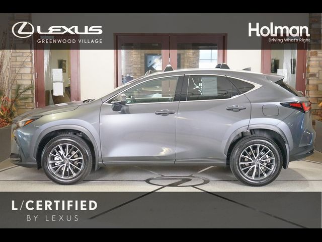 2024 Lexus NX 350h Premium