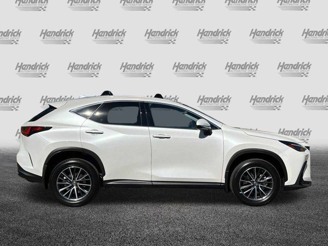 2024 Lexus NX 350h Premium