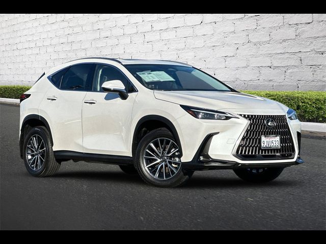 2024 Lexus NX 350h Premium