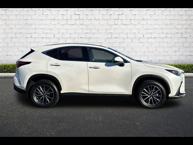 2024 Lexus NX 350h Premium