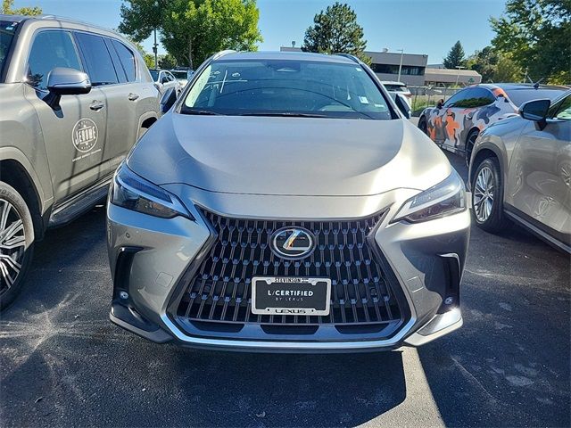 2024 Lexus NX 350h Premium