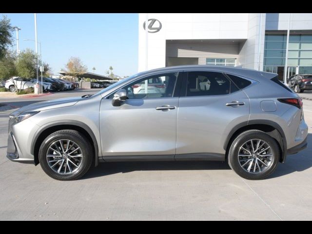 2024 Lexus NX 350h Premium