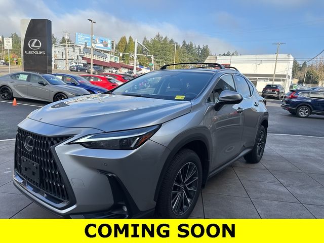 2024 Lexus NX 350h Premium