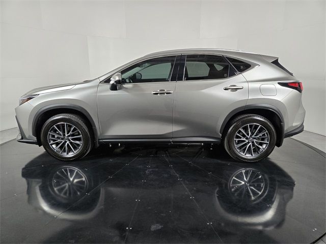 2024 Lexus NX 350h Premium