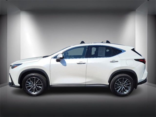 2024 Lexus NX 350h Premium