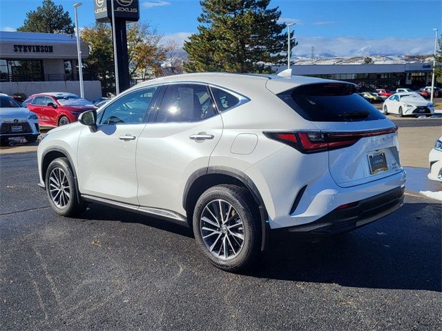 2024 Lexus NX 350h Premium