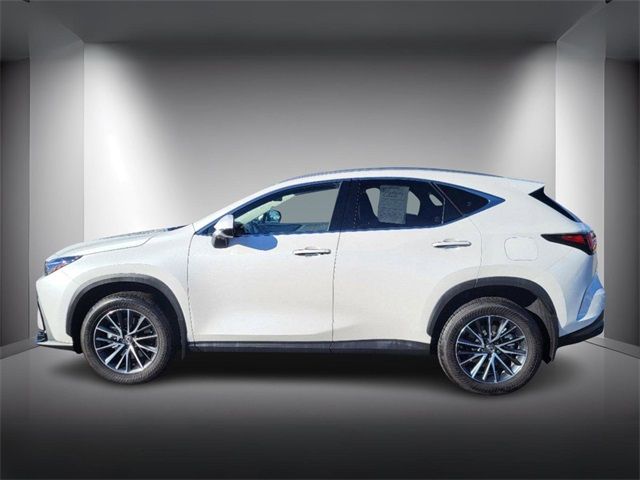 2024 Lexus NX 350h Premium