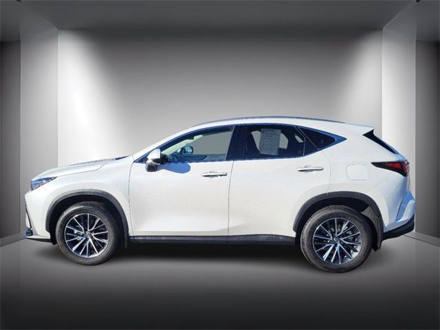 2024 Lexus NX 350h Premium