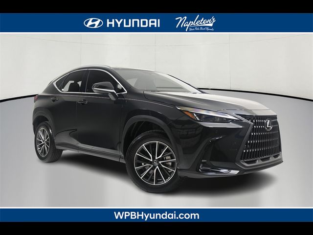 2024 Lexus NX 350h Premium