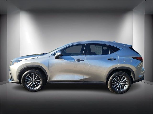 2024 Lexus NX 350h Premium