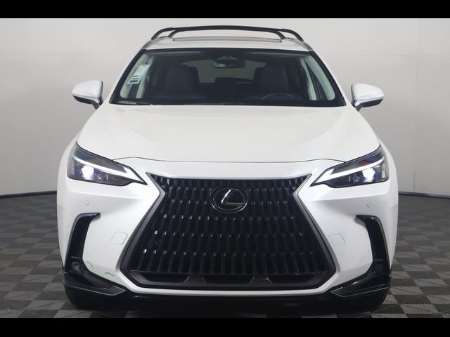 2024 Lexus NX 350h Premium