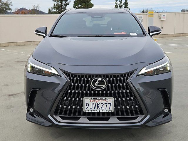 2024 Lexus NX 350h Premium