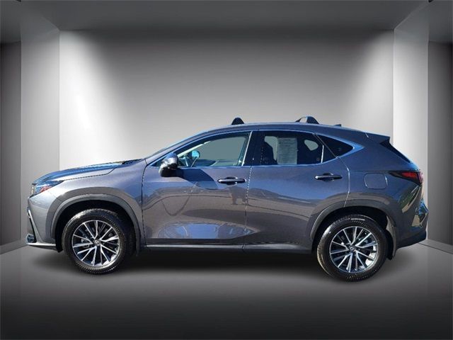 2024 Lexus NX 350h Premium