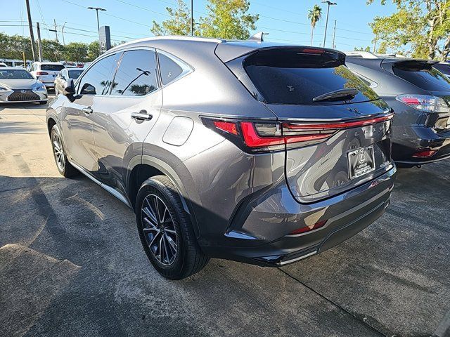 2024 Lexus NX 350h Premium