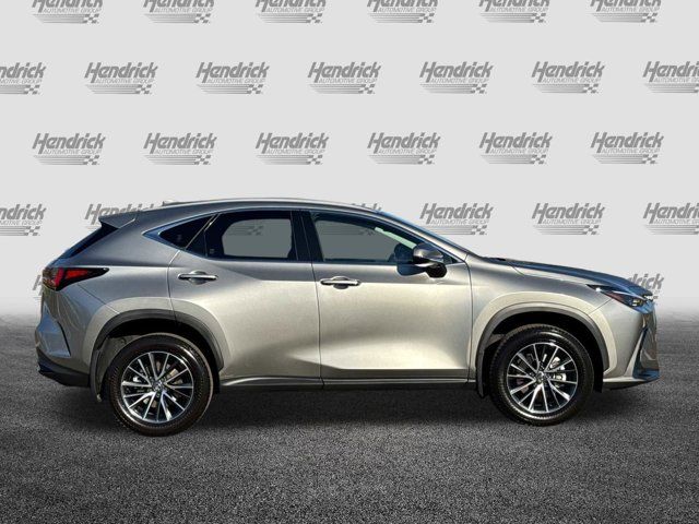 2024 Lexus NX 350h Premium