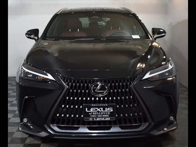 2024 Lexus NX 350h Premium