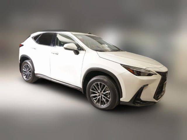 2024 Lexus NX 350h Premium