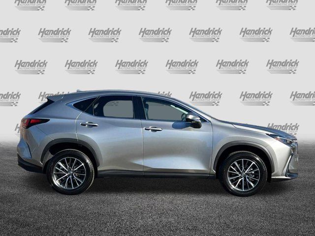 2024 Lexus NX 350h Premium