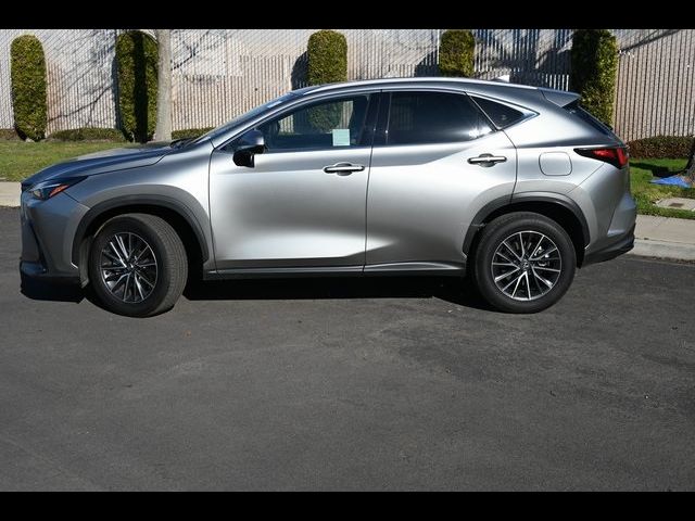 2024 Lexus NX 350h Premium